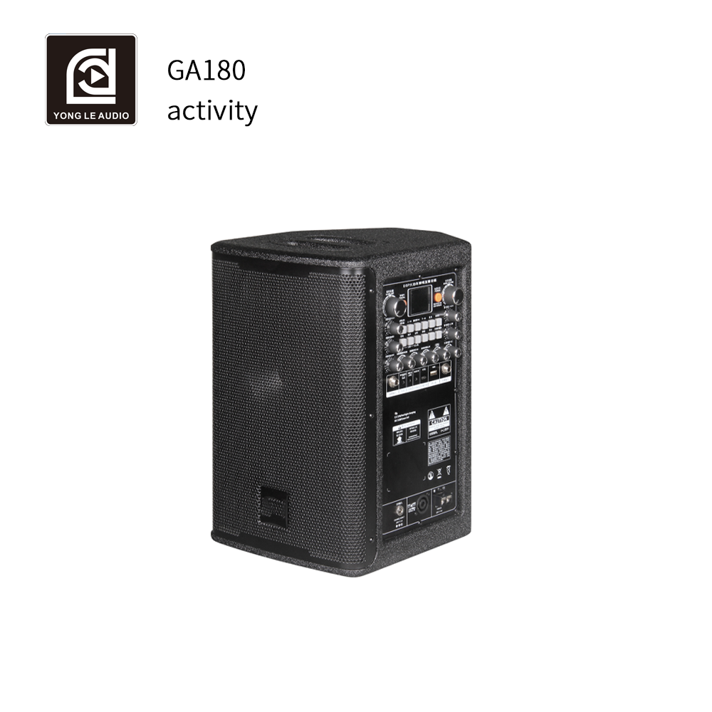 Professional 2-Way Stage Outdo - đánh giá và giá Ac Outdoor Power